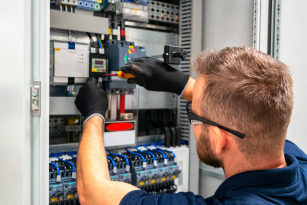 Best Electrical Panel Upgrades  in Robstown, TX